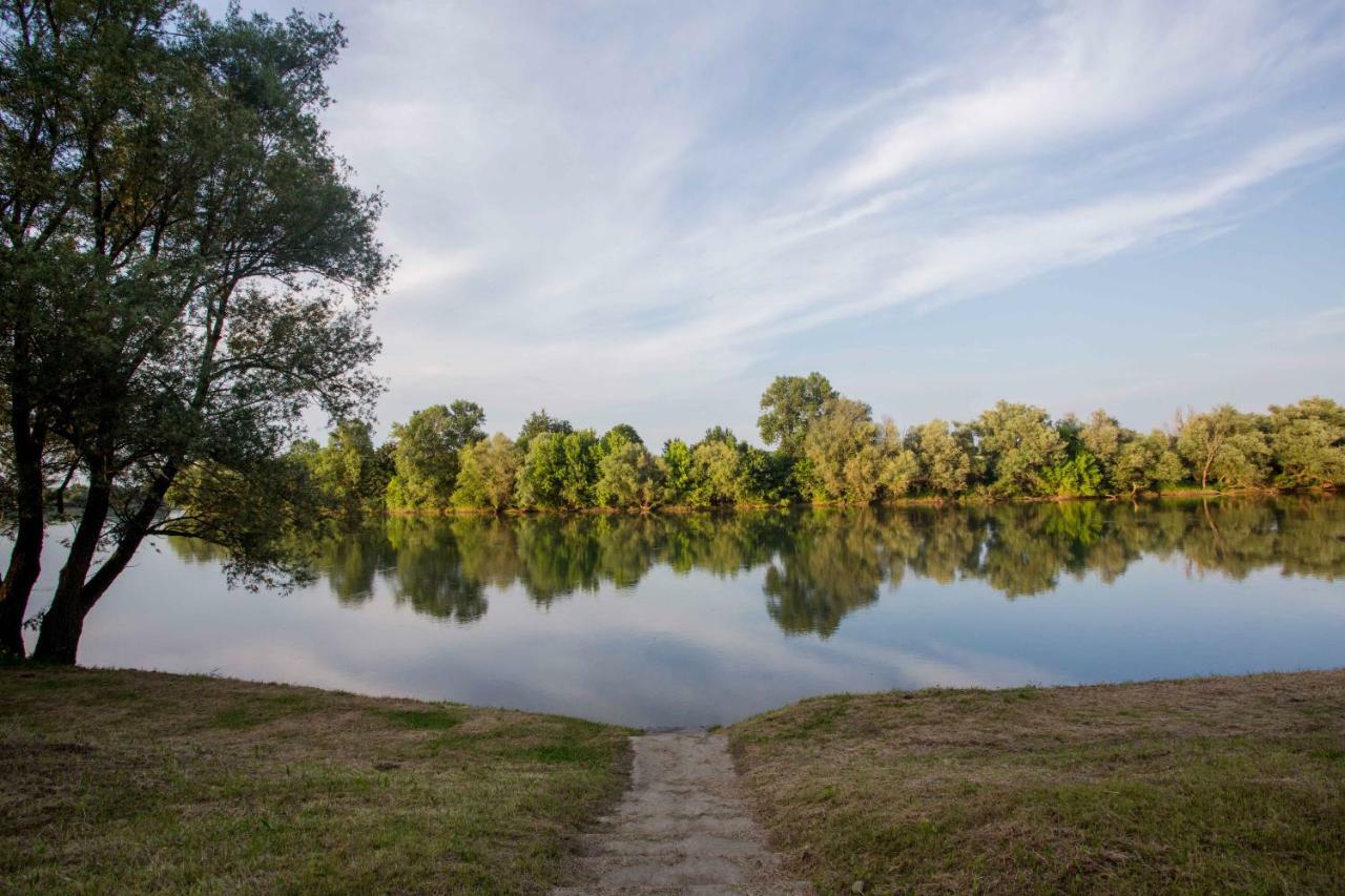 Zagreb, Kuca Za Odmor Swan River Holiday House Lasinja Eksteriør bilde