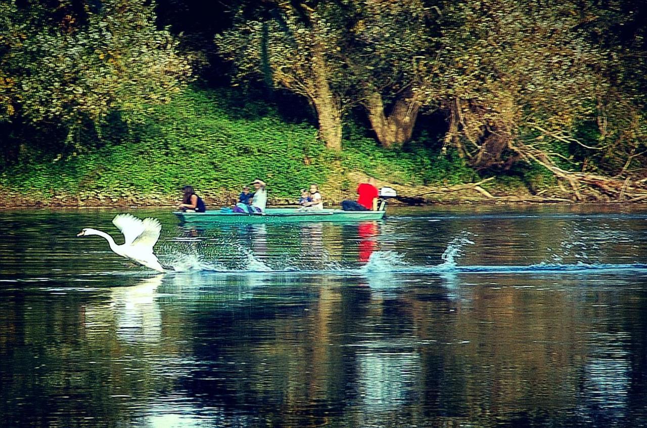 Zagreb, Kuca Za Odmor Swan River Holiday House Lasinja Eksteriør bilde