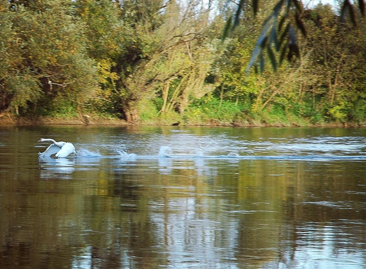 Zagreb, Kuca Za Odmor Swan River Holiday House Lasinja Eksteriør bilde