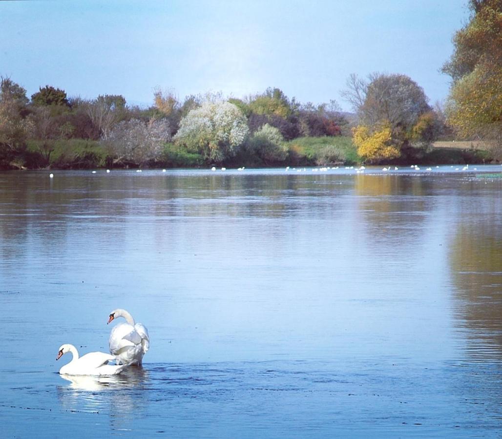 Zagreb, Kuca Za Odmor Swan River Holiday House Lasinja Eksteriør bilde